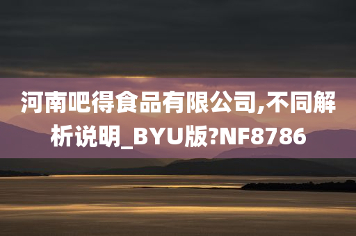 河南吧得食品有限公司,不同解析说明_BYU版?NF8786