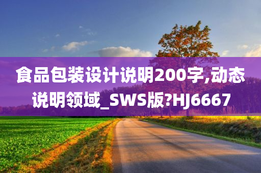 食品包装设计说明200字,动态说明领域_SWS版?HJ6667