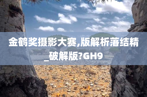 金鹤奖摄影大赛,版解析落结精_破解版?GH9