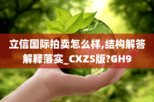 立信国际拍卖怎么样,结构解答解释落实_CXZS版?GH9