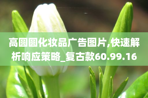 高圆圆化妆品广告图片,快速解析响应策略_复古款60.99.16