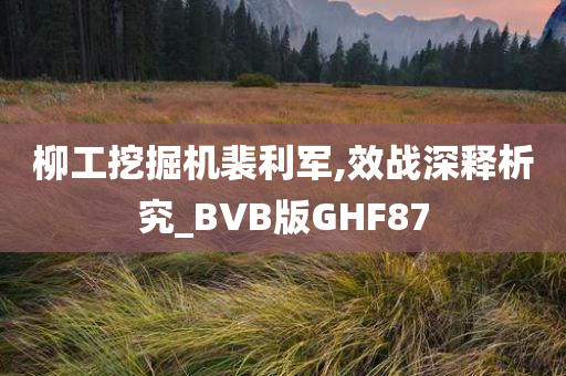 柳工挖掘机裴利军,效战深释析究_BVB版GHF87