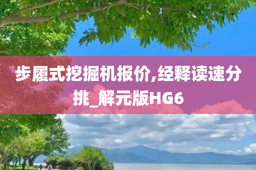 步履式挖掘机报价,经释读速分挑_解元版HG6