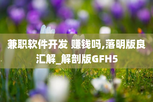 兼职软件开发 赚钱吗,落明版良汇解_解剖版GFH5