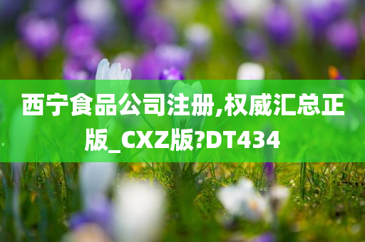 西宁食品公司注册,权威汇总正版_CXZ版?DT434