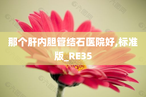 那个肝内胆管结石医院好,标准版_RE35