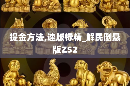 提金方法,速版标精_解民倒悬版ZS2