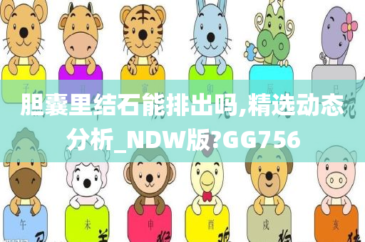 胆囊里结石能排出吗,精选动态分析_NDW版?GG756