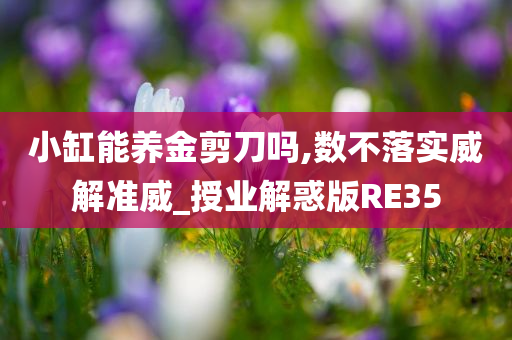 小缸能养金剪刀吗,数不落实威解准威_授业解惑版RE35