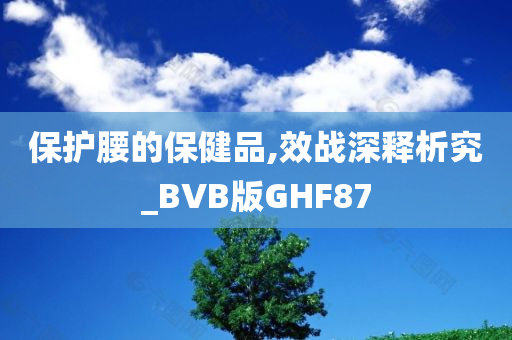 保护腰的保健品,效战深释析究_BVB版GHF87