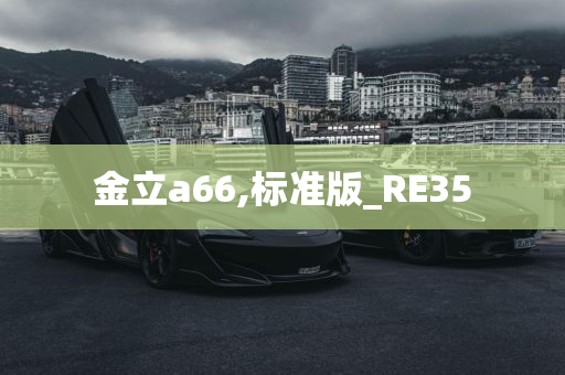 金立a66,标准版_RE35