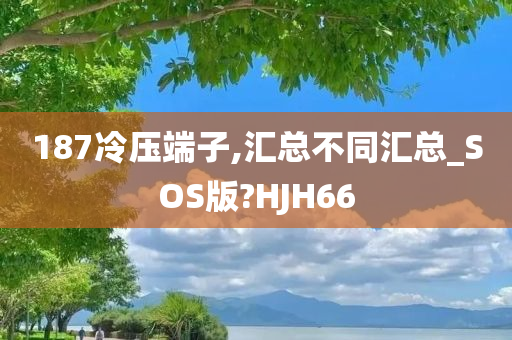 187冷压端子,汇总不同汇总_SOS版?HJH66