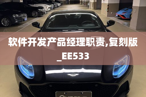 软件开发产品经理职责,复刻版_EE533