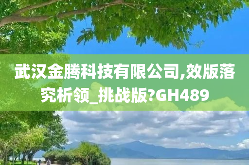 武汉金腾科技有限公司,效版落究析领_挑战版?GH489