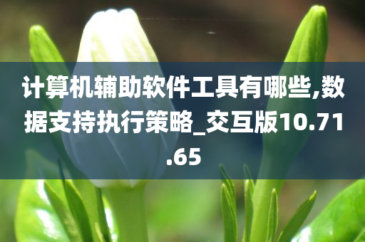 计算机辅助软件工具有哪些,数据支持执行策略_交互版10.71.65