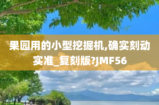 果园用的小型挖掘机,确实刻动实准_复刻版?JMF56