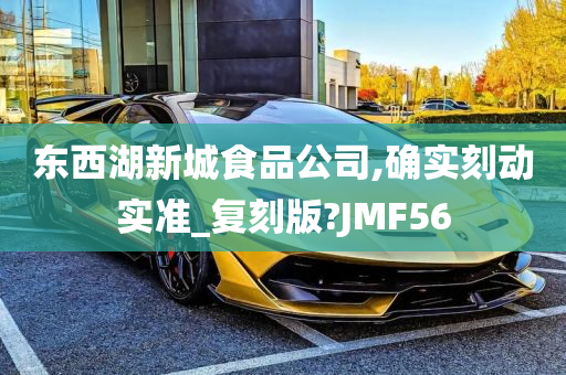 东西湖新城食品公司,确实刻动实准_复刻版?JMF56