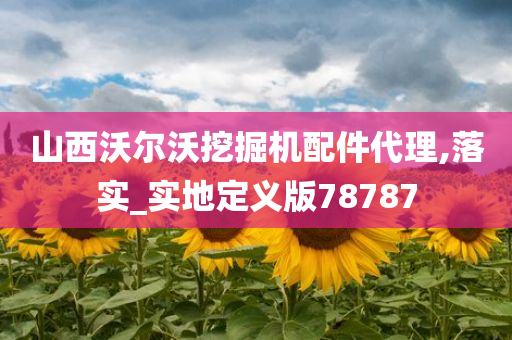 山西沃尔沃挖掘机配件代理,落实_实地定义版78787