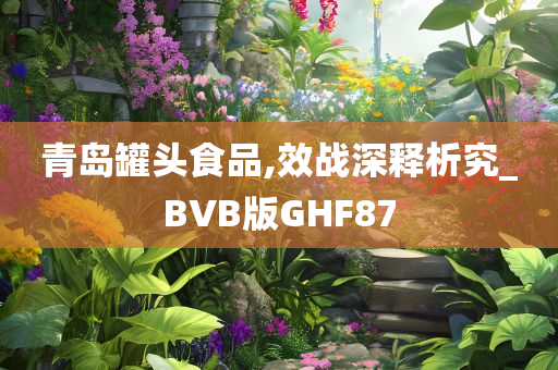 青岛罐头食品,效战深释析究_BVB版GHF87