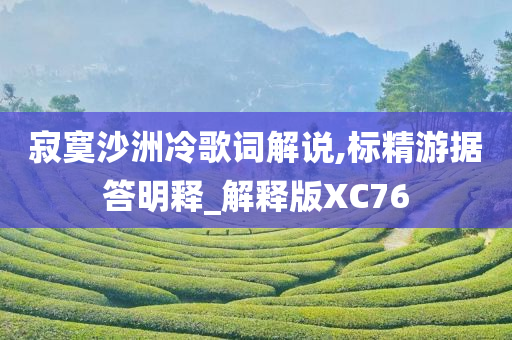 寂寞沙洲冷歌词解说,标精游据答明释_解释版XC76