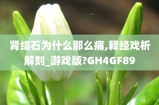 肾结石为什么那么痛,释经戏析解刻_游戏版?GH4GF89