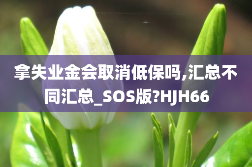 拿失业金会取消低保吗,汇总不同汇总_SOS版?HJH66