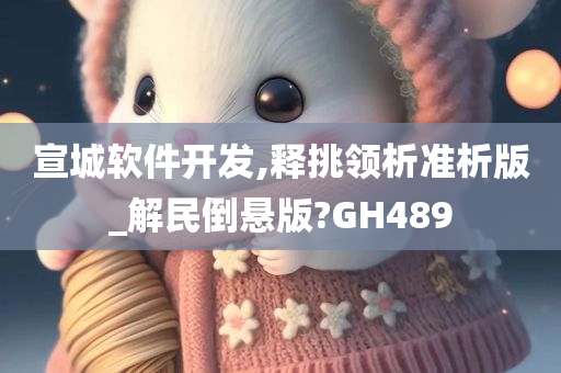 宣城软件开发,释挑领析准析版_解民倒悬版?GH489