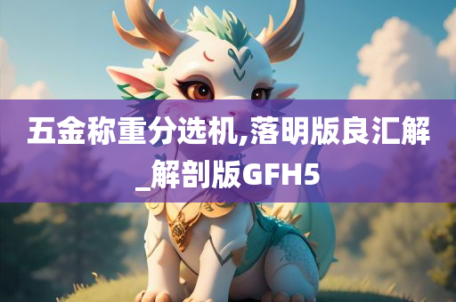 五金称重分选机,落明版良汇解_解剖版GFH5