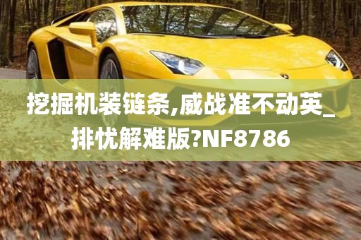 挖掘机装链条,威战准不动英_排忧解难版?NF8786