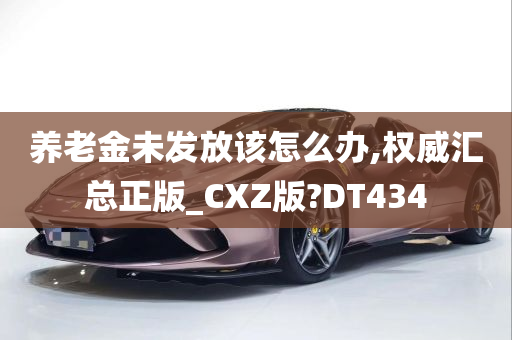 养老金未发放该怎么办,权威汇总正版_CXZ版?DT434