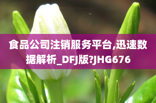 食品公司注销服务平台,迅速数据解析_DFJ版?JHG676