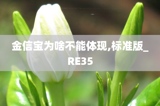 金信宝为啥不能体现,标准版_RE35