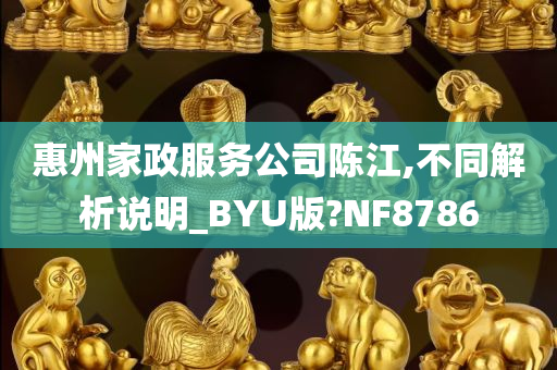 惠州家政服务公司陈江,不同解析说明_BYU版?NF8786