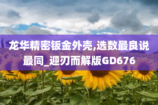 龙华精密钣金外壳,选数最良说最同_迎刃而解版GD676