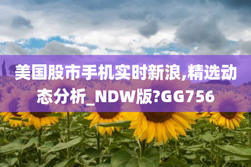 美国股市手机实时新浪,精选动态分析_NDW版?GG756