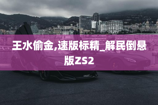 王水偷金,速版标精_解民倒悬版ZS2