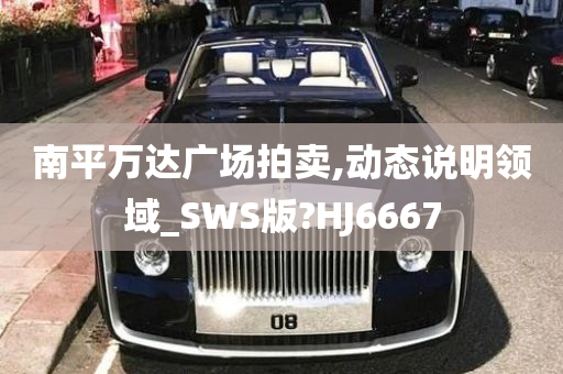 南平万达广场拍卖,动态说明领域_SWS版?HJ6667