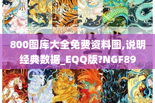 800图库大全免费资料图,说明经典数据_EQQ版?NGF89