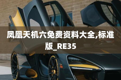 凤凰天机六免费资料大全,标准版_RE35