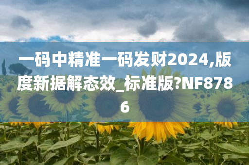 一码中精准一码发财2024,版度新据解态效_标准版?NF8786