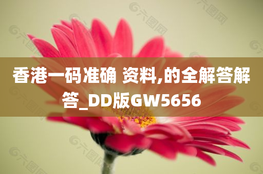 香港一码准确 资料,的全解答解答_DD版GW5656