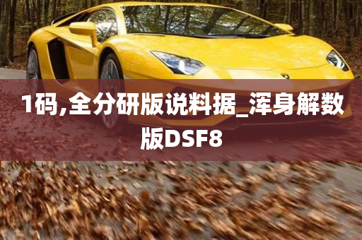 1码,全分研版说料据_浑身解数版DSF8