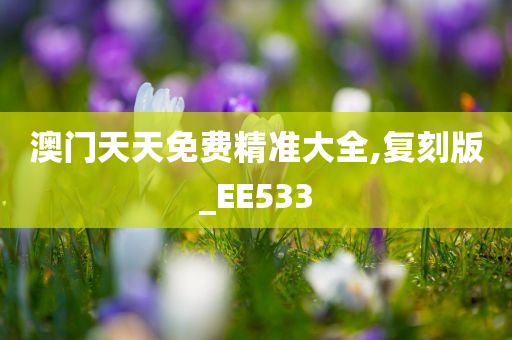 澳门天天免费精准大全,复刻版_EE533