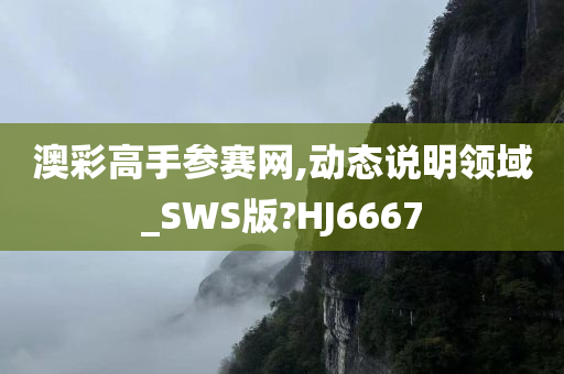 澳彩高手参赛网,动态说明领域_SWS版?HJ6667