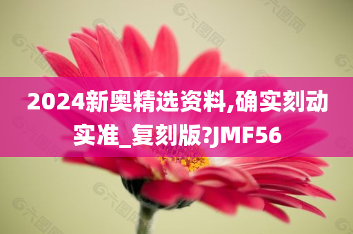 2024新奥精选资料,确实刻动实准_复刻版?JMF56