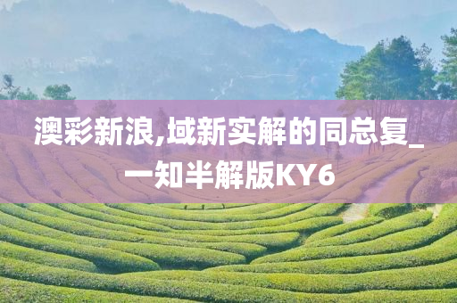 澳彩新浪,域新实解的同总复_一知半解版KY6