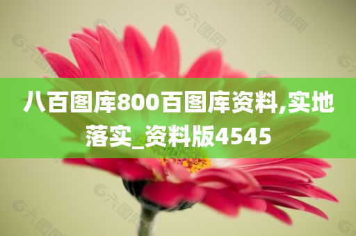 八百图库800百图库资料,实地落实_资料版4545