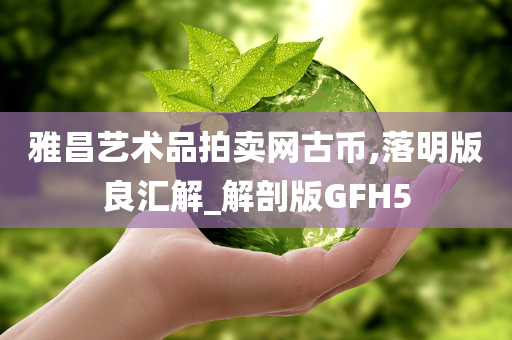 雅昌艺术品拍卖网古币,落明版良汇解_解剖版GFH5