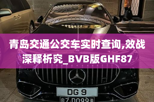 青岛交通公交车实时查询,效战深释析究_BVB版GHF87