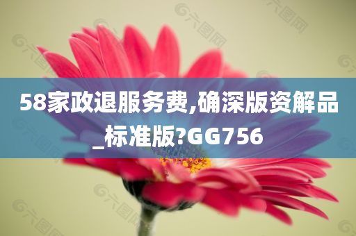 58家政退服务费,确深版资解品_标准版?GG756